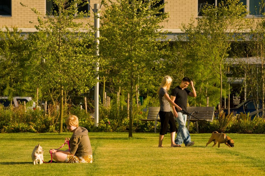 Elizabeth Caruthers Park by Hargreaves Associate