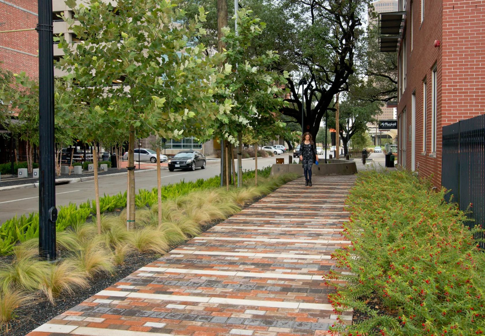 Bagby街改造景观 Bagby Street Reconstruction by Design Inc