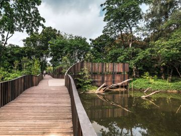 bird-wave-bridge-by-shma