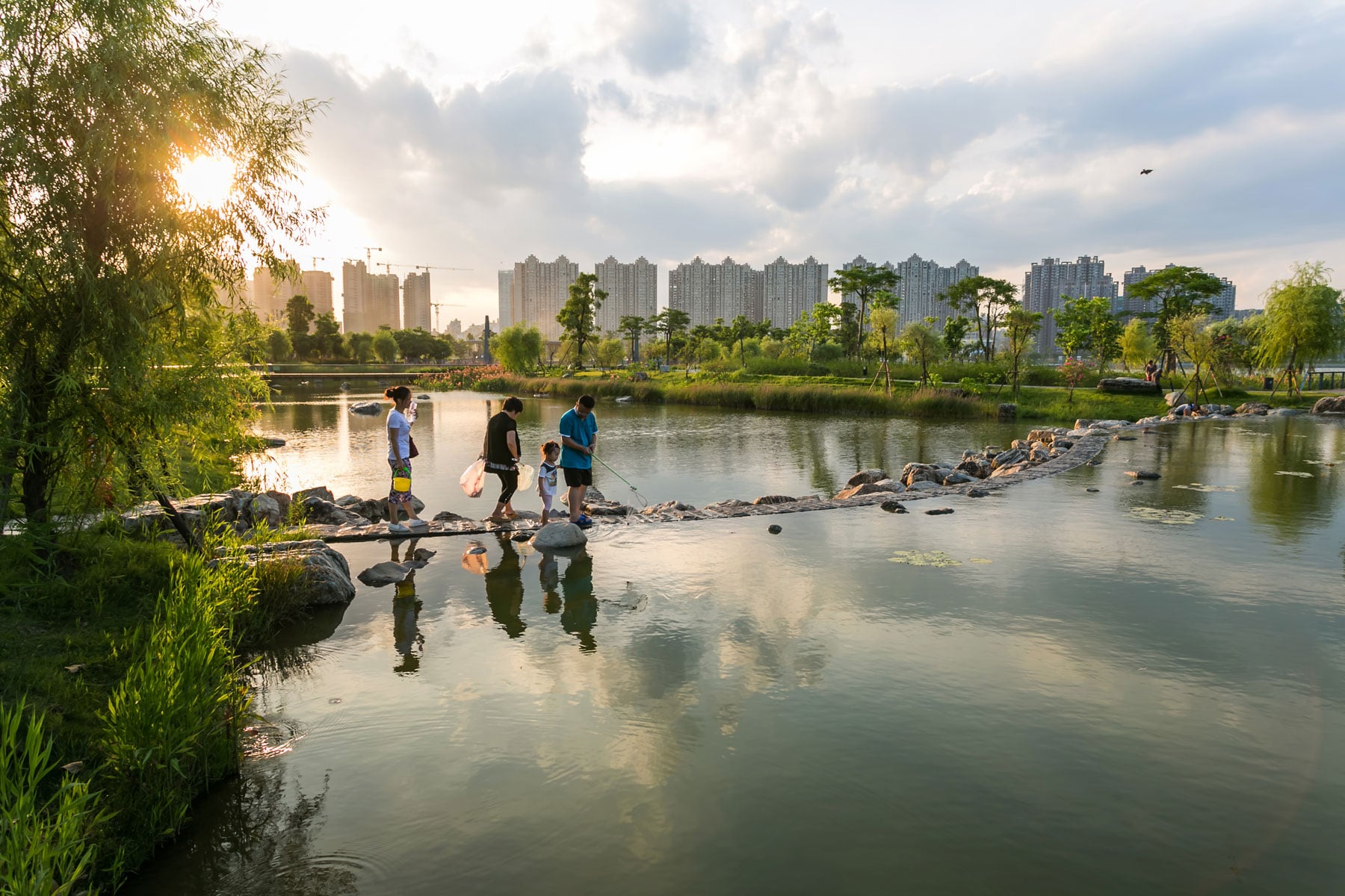 南京河西城市生态公园-中关村在线摄影论坛