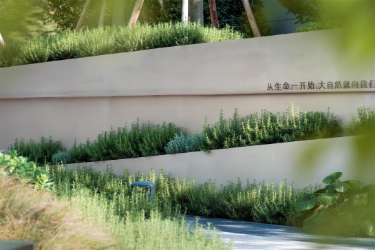 麓 · 森林秀场:成都麓湖 · 生态岛 观澜 / 蓝调国际 – mooool木藕设计网