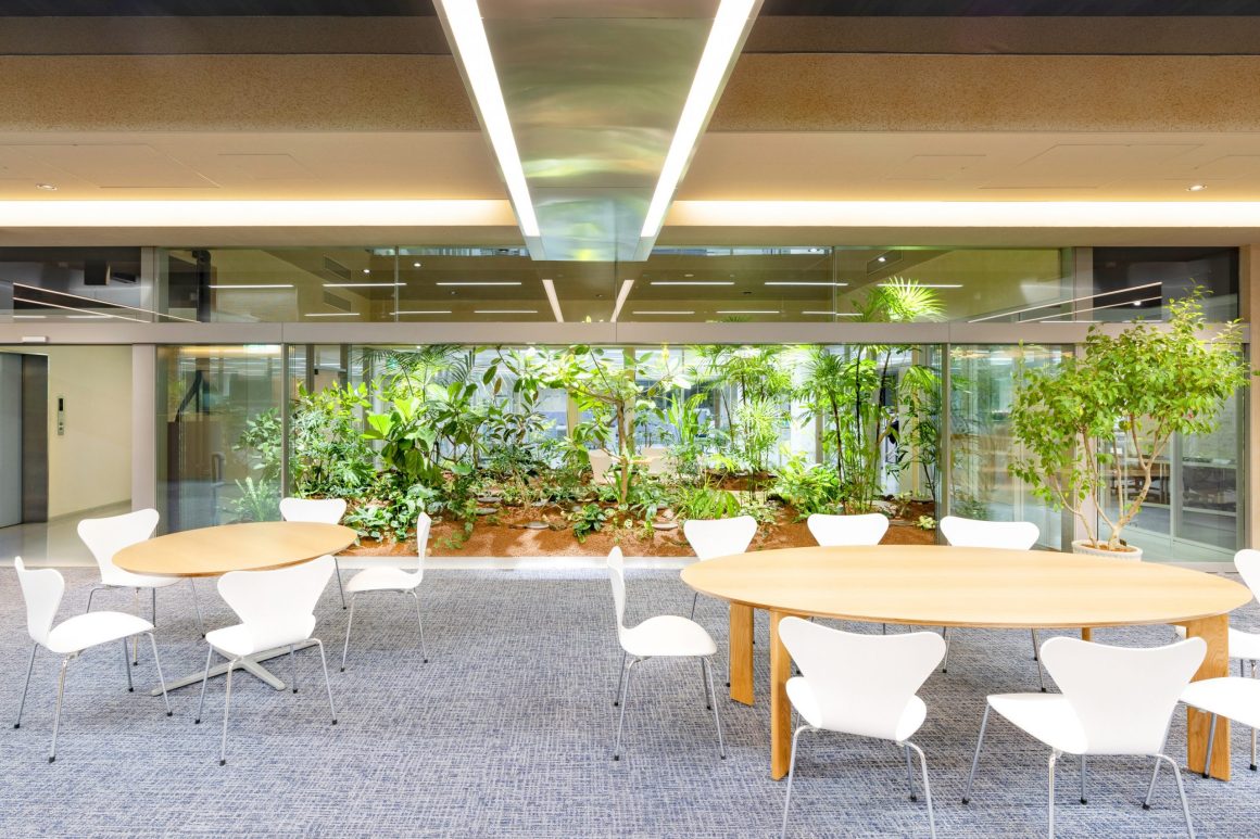 Yamamoto Electric Works Head Office Building Renovation by MASAAKI