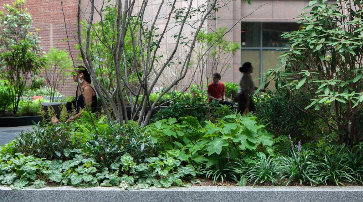 令人惊喜的公共空间,为城市营造一片自由之地 – mooool木藕设计网