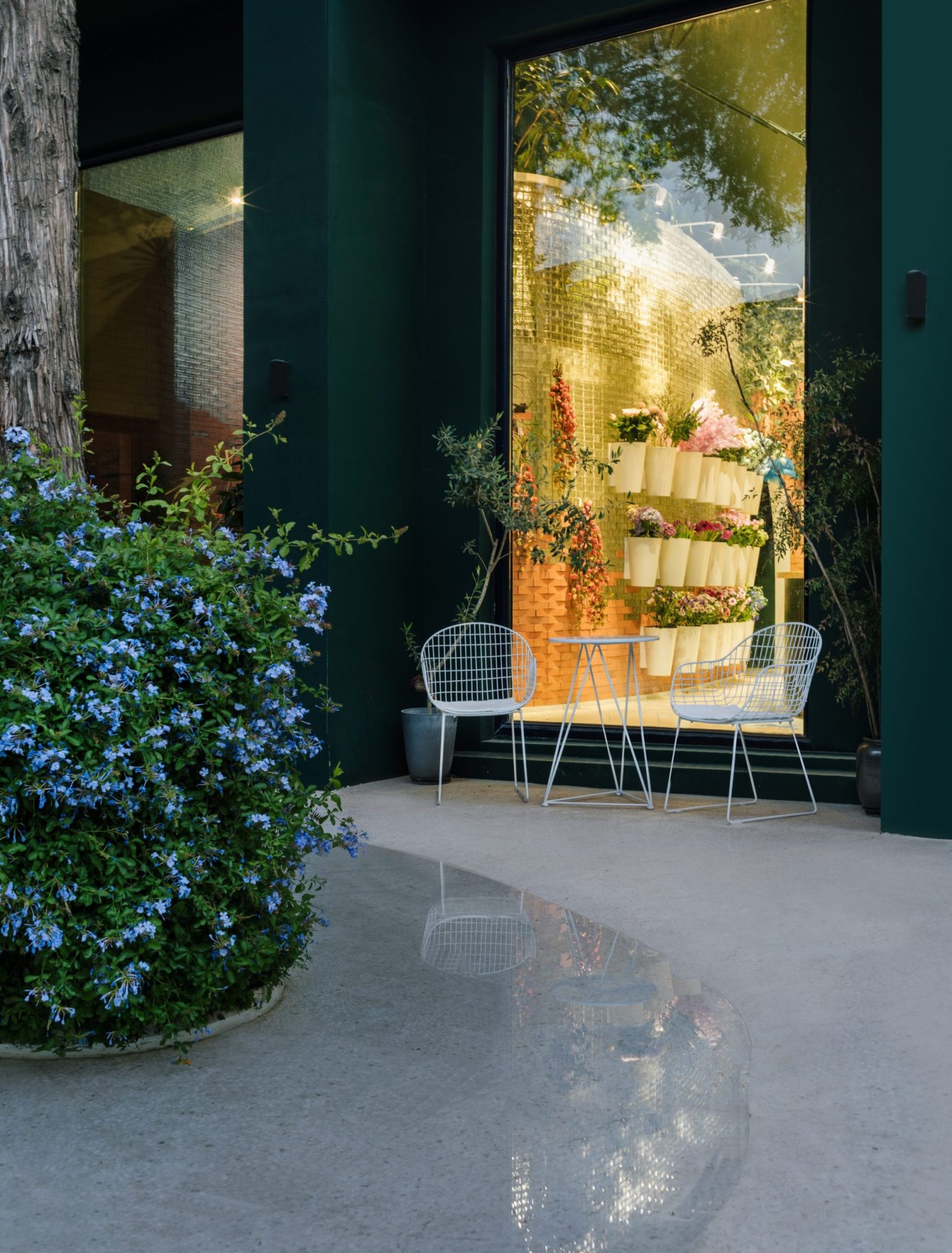 Picture of The Art of Luxury Floral Curation: Elevating Your Living Spaces Through ...