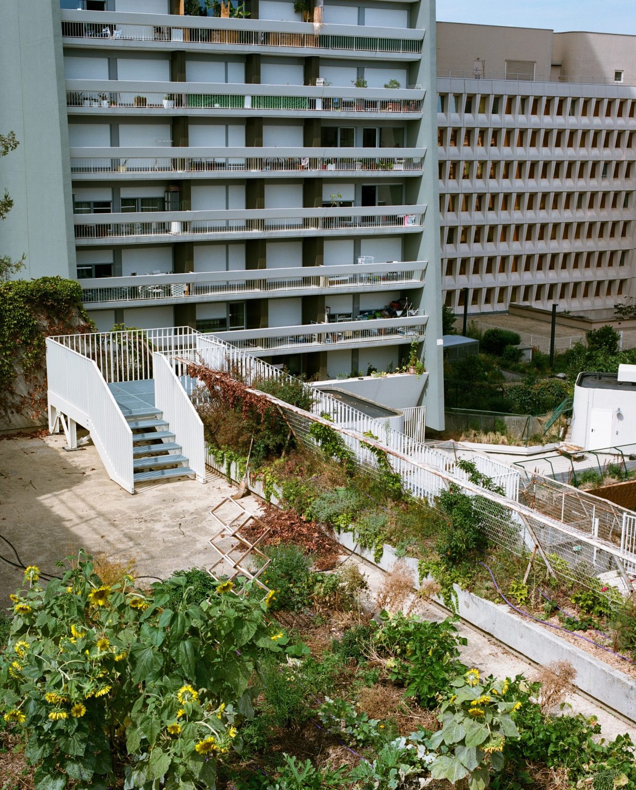 连接城市的另一界面,屋顶上的观景楼梯 / Bertrand Taquet Architectes – mooool木藕设计网