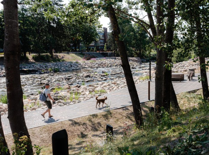城市空间再野化:基于自然的修复与重建之景观探索 – mooool木藕设计网