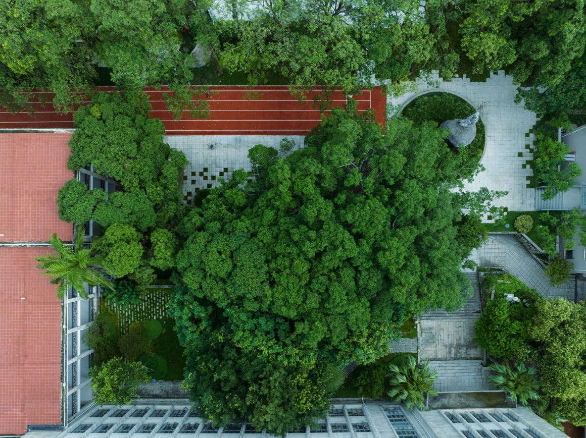 鹭潮•鼓浪屿美院 / GND杰地景观 – mooool木藕设计网