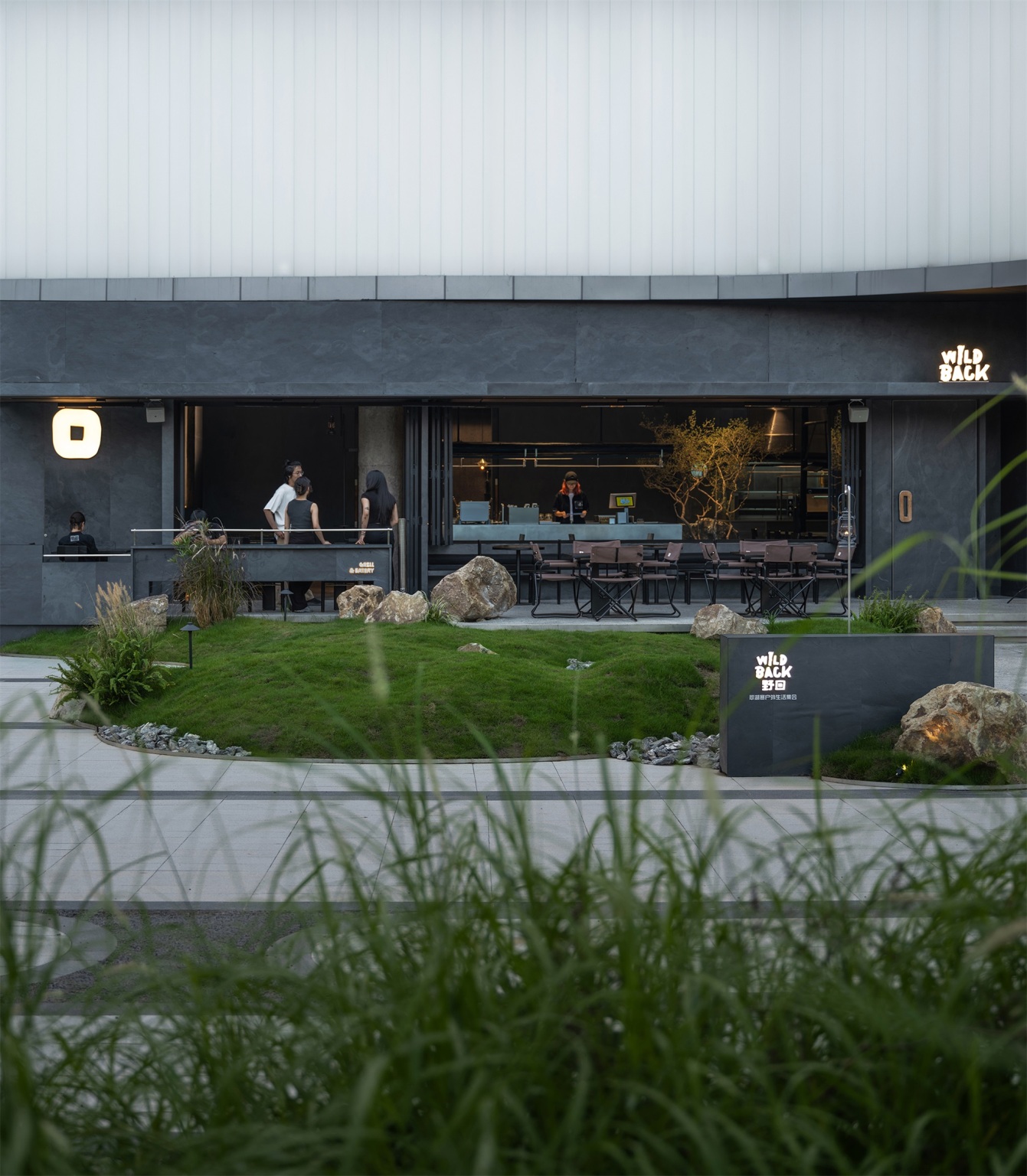 wild-back-pig-design-mooool