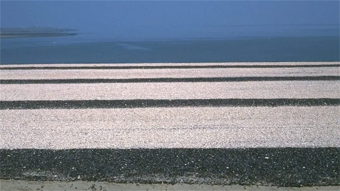 West 8 Landscape Director Donna Bridgeman: Fighting the “similarity” of ...