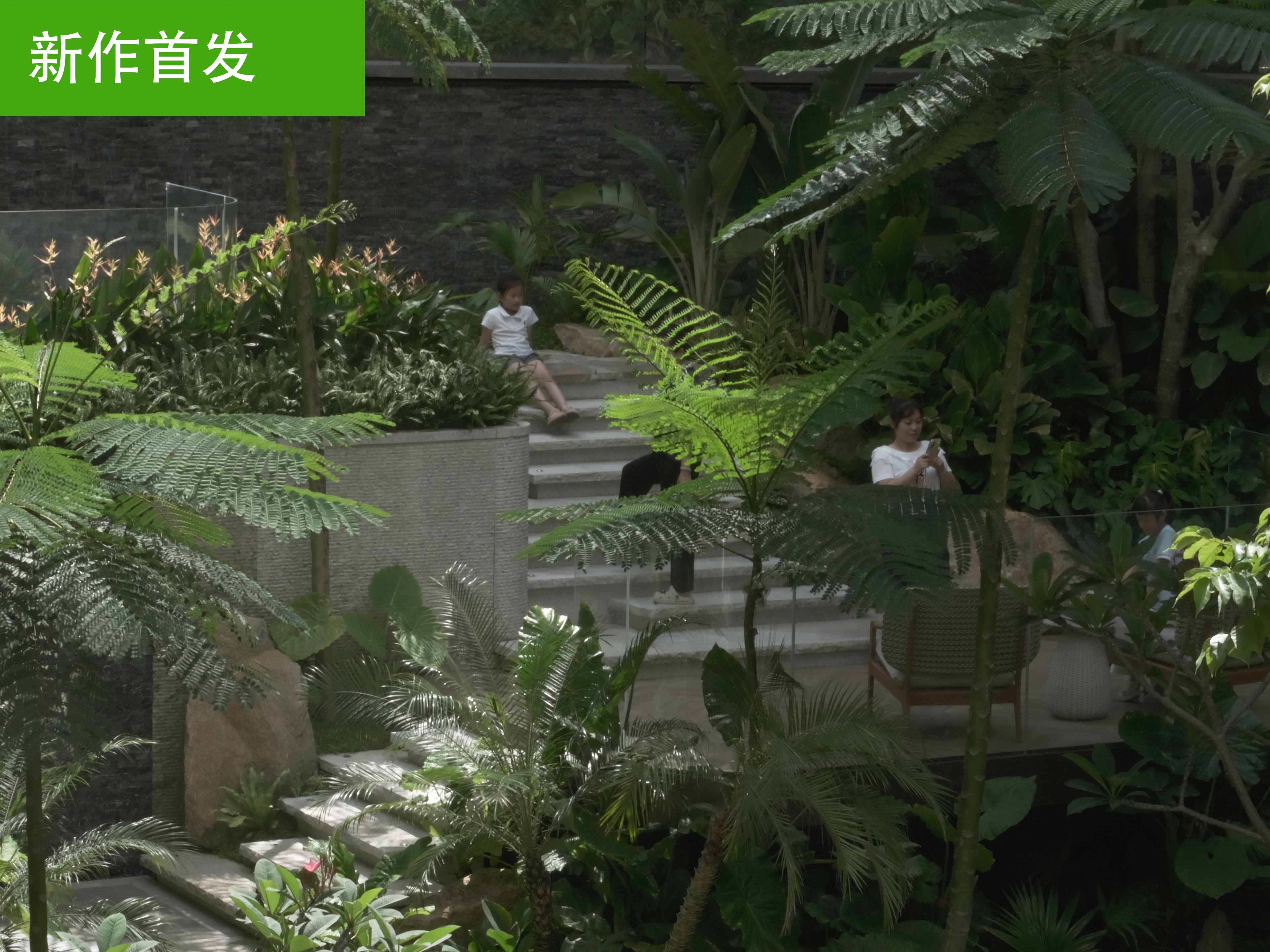 自然派研究所 moomo Shoji Blossom Wallcovering - Moooi