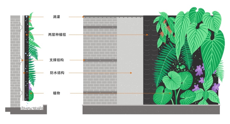 向自然学习:垂直花园营造实践 / junglecolor工作室 – mooool木藕设计网
