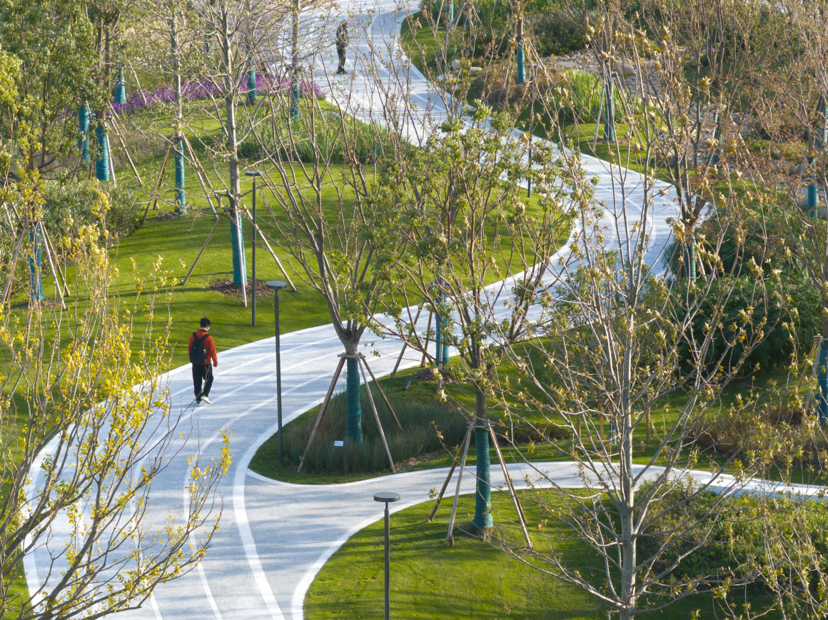 Landscape Design of Green Space on the East Side of Peiya South Road ...