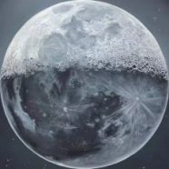 wangfei74926的头像