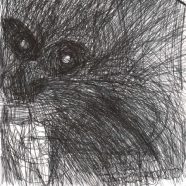 Profile picture of 飓风