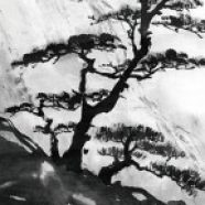 Profile picture of 一块腹肌小帅哥